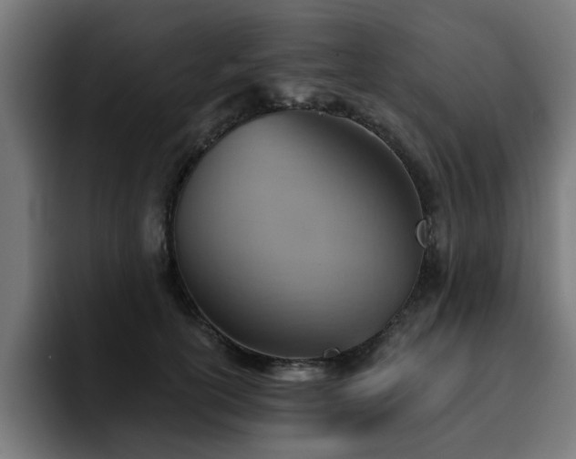 X0000094460754200711081325