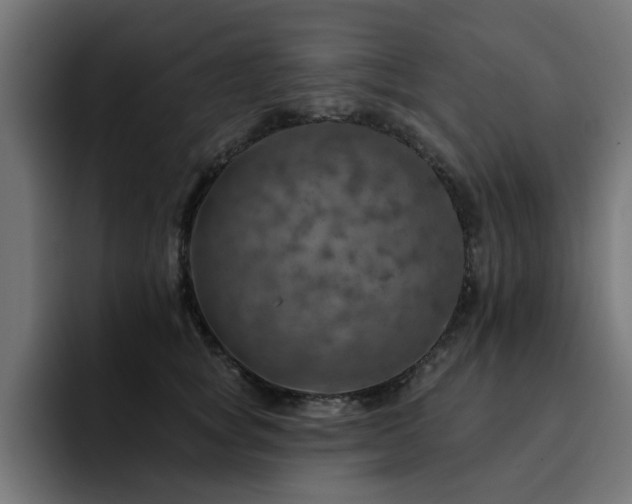X0000094460757200711081325