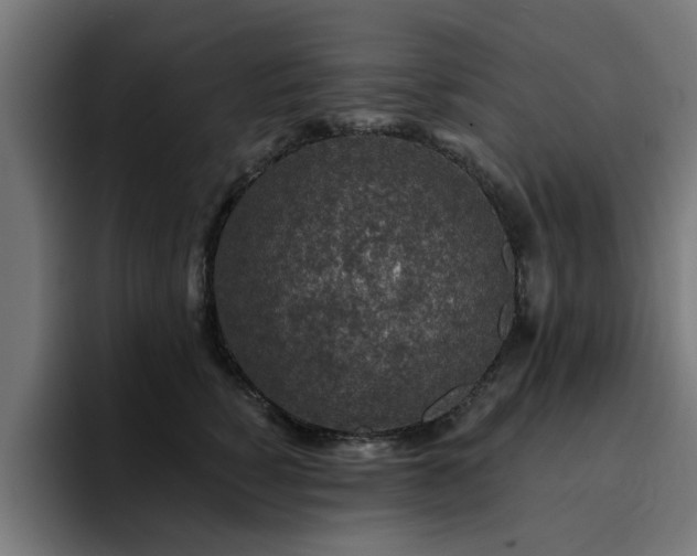 X0000094460760200711081325