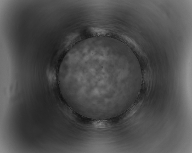 X0000094460761200711081325