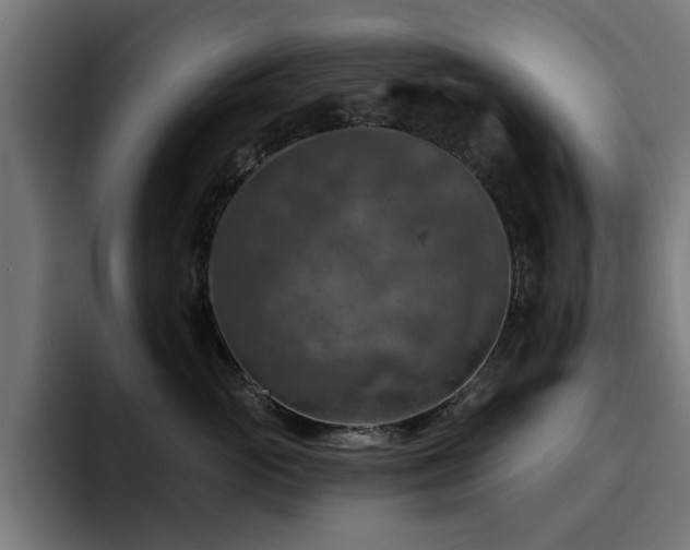 X0000094460765200711081325