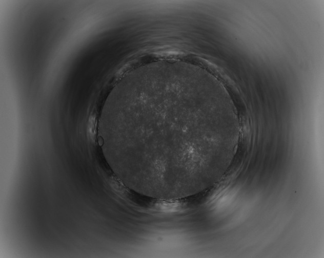 X0000094460767200711081325