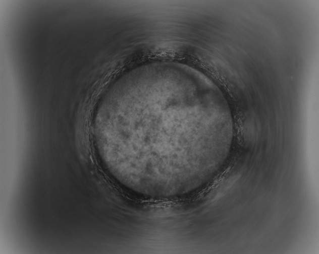 X0000094460769200711081324