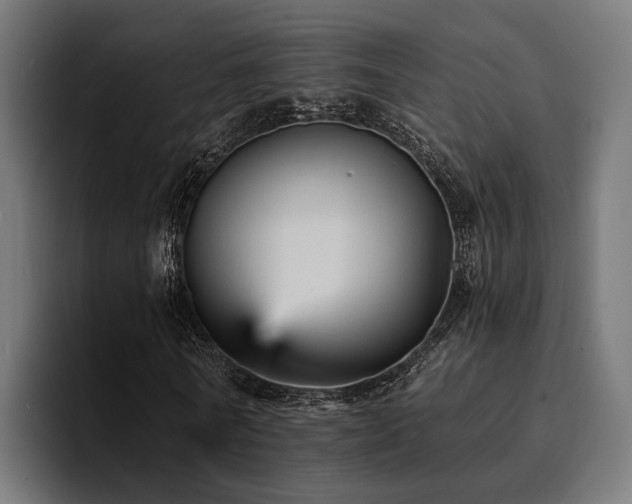 X0000094460770200711081324