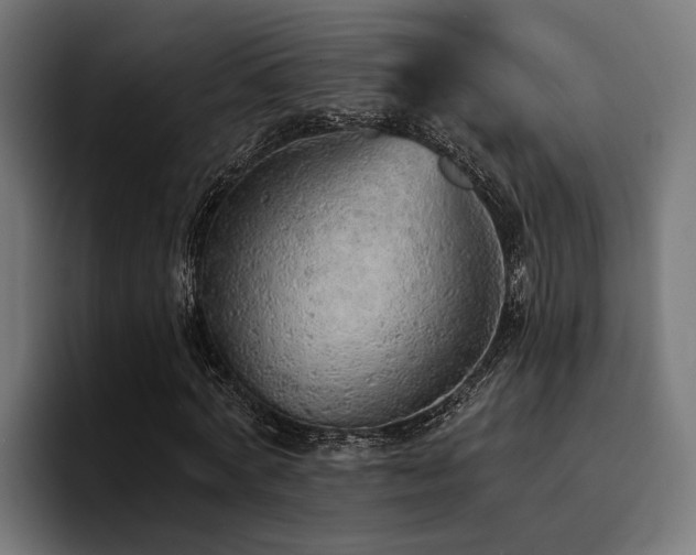 X0000094460772200711081324