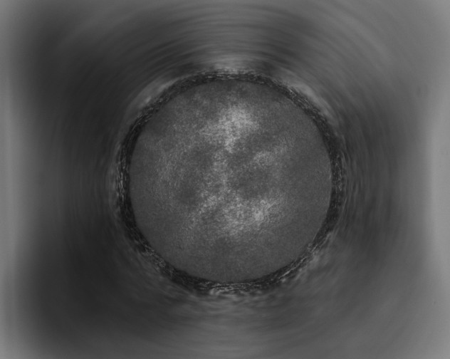 X0000094460776200711081324