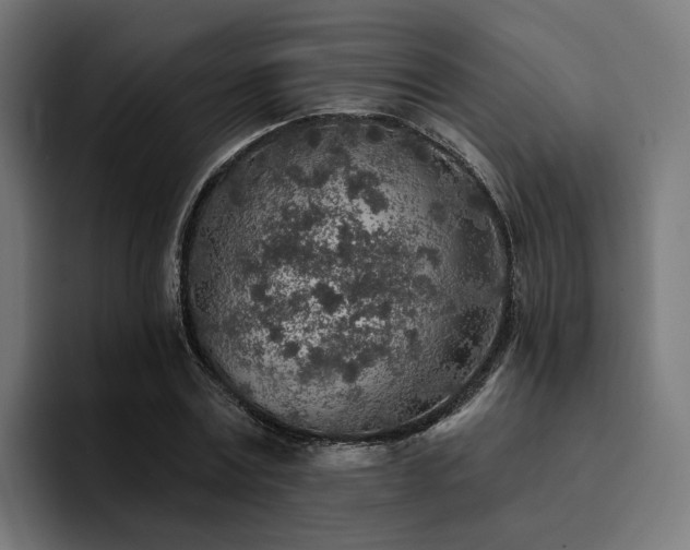 X0000094460779200711081324