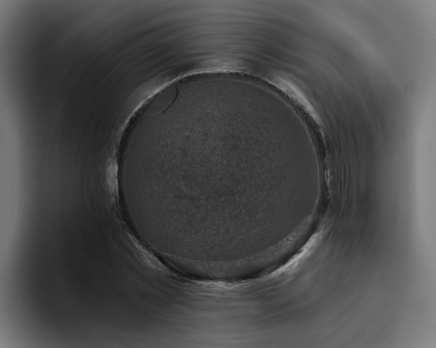 X0000094460781200711081324