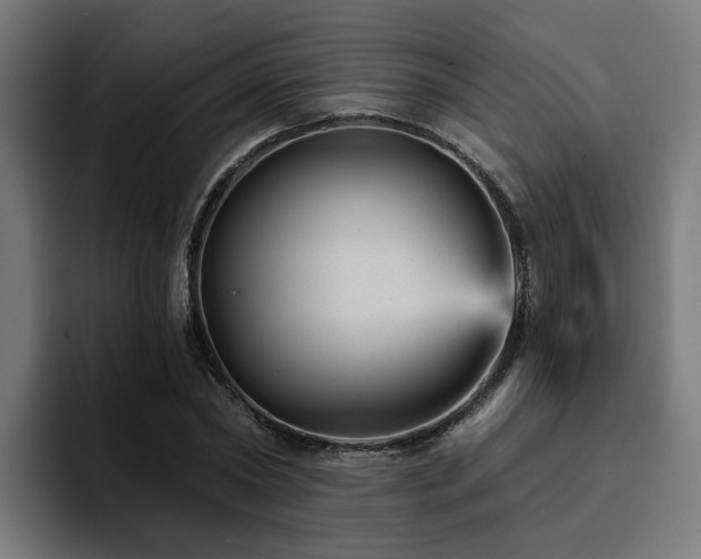 X0000094460782200711081324