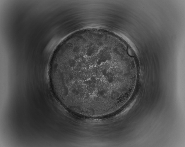 X0000094460783200711081324
