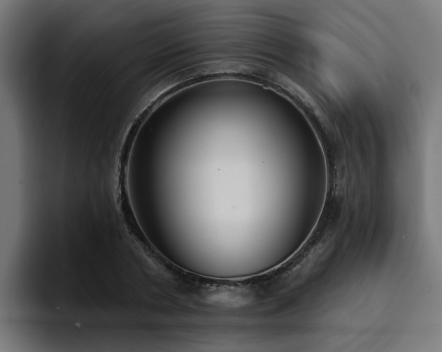 X0000094460786200711081324