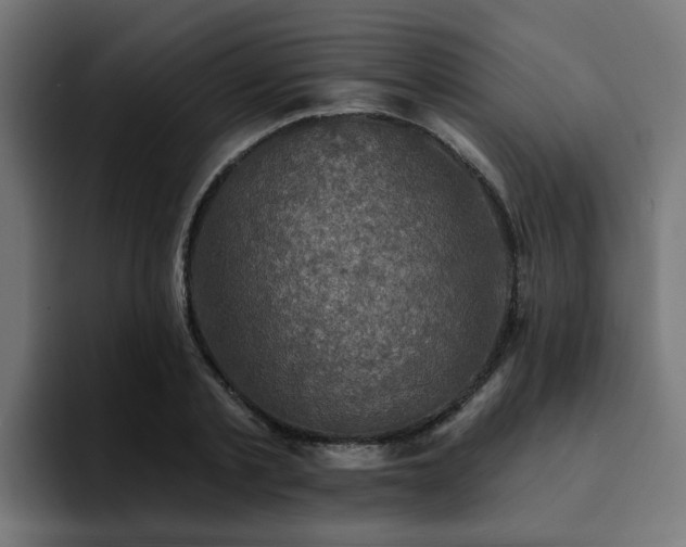 X0000094460789200711081324