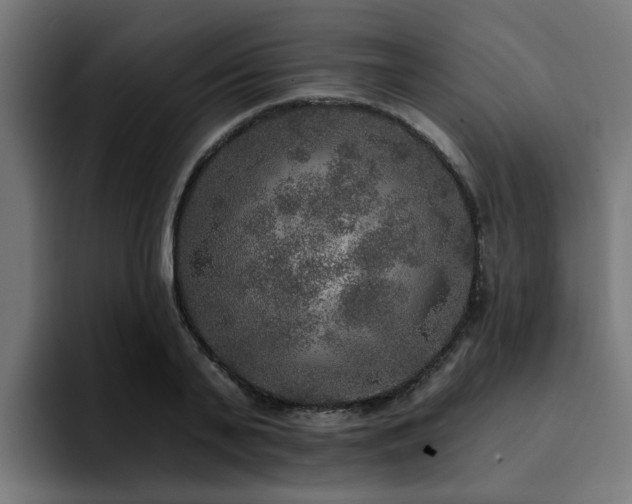 X0000094460791200711081324