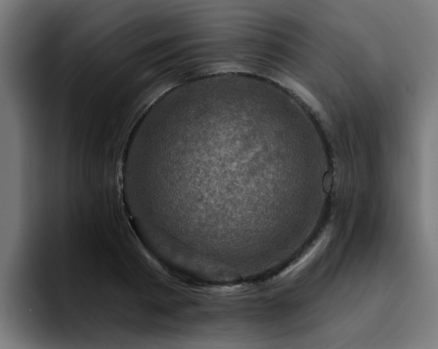 X0000094460793200711081324