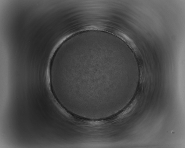 X0000094460796200711081324