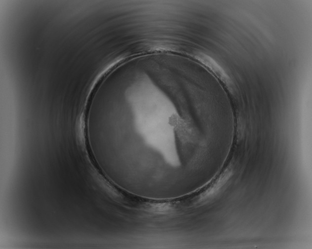 X0000094460798200711081324