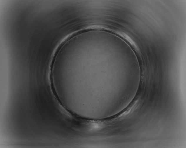 X0000094460799200711081324