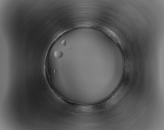 X0000094460802200711081324