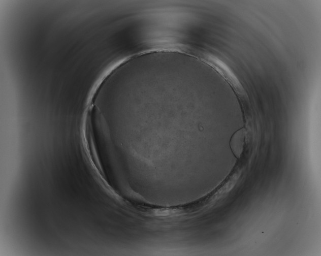 X0000094460804200711081324