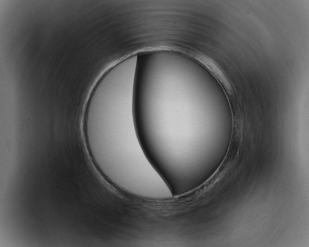 X0000094460805200711081324