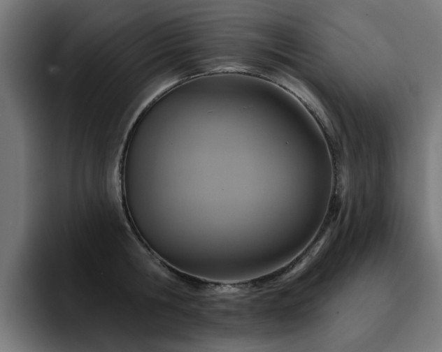 X0000094460806200711081324