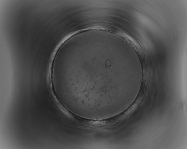 X0000094460808200711081324