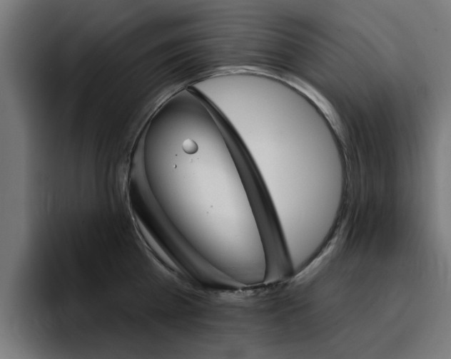 X0000094460809200711081324