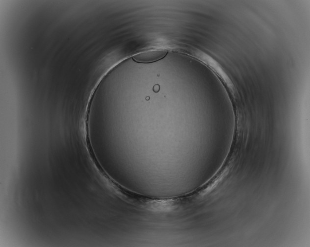 X0000094460810200711081324