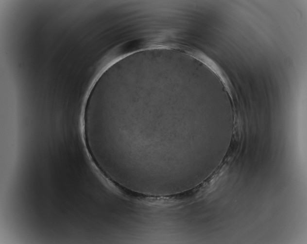 X0000094460811200711081324