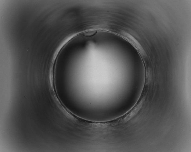 X0000094460812200711081324