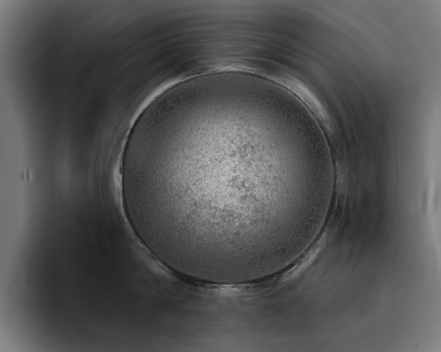 X0000094460814200711081324