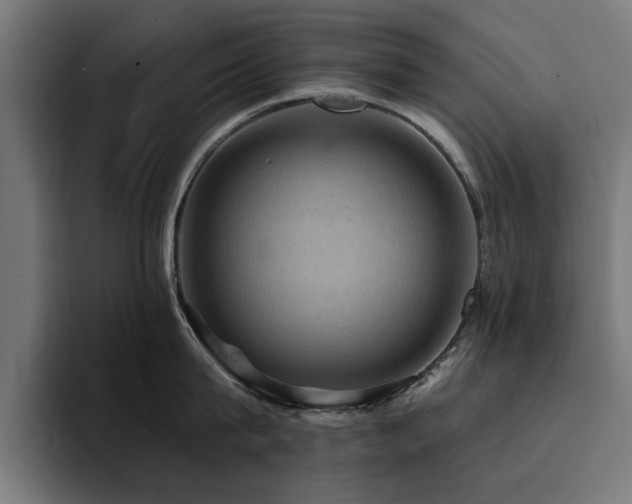 X0000094460815200711081324