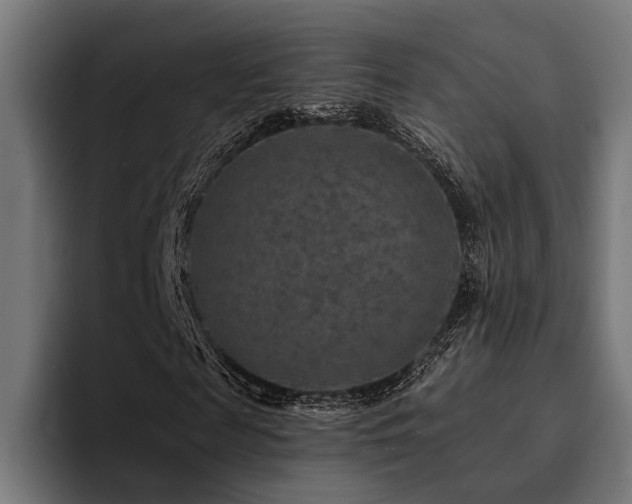 X0000094460817200711081323