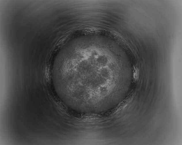 X0000094460819200711081323