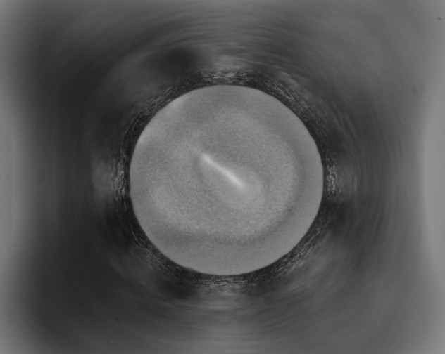 X0000094460820200711081323