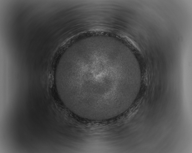 X0000094460821200711081323