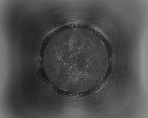 X0000094460822200711081323