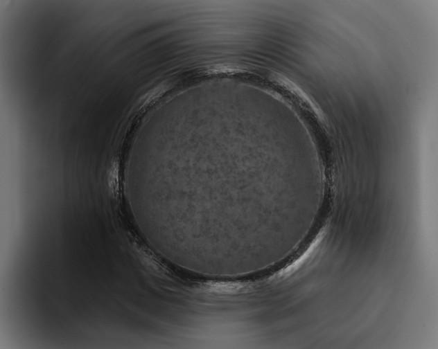 X0000094460825200711081323