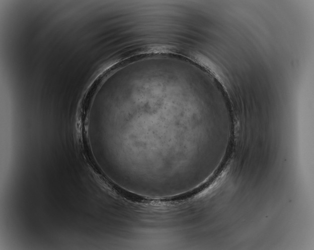 X0000094460827200711081323