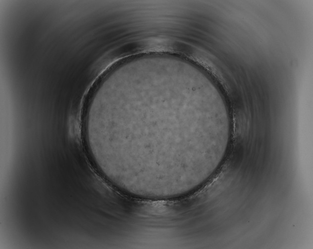 X0000094460828200711081323