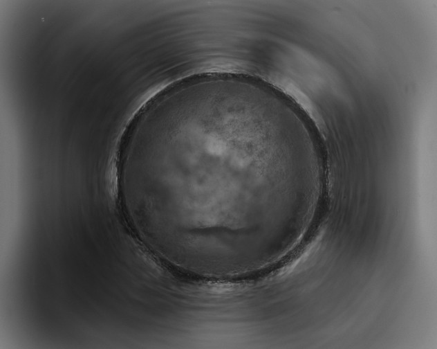 X0000094460829200711081323