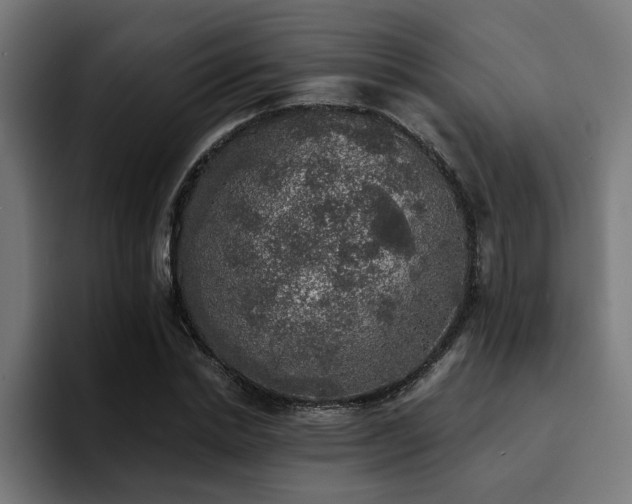X0000094460830200711081323