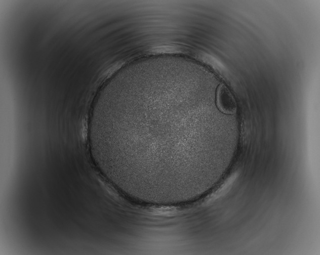 X0000094460833200711081323