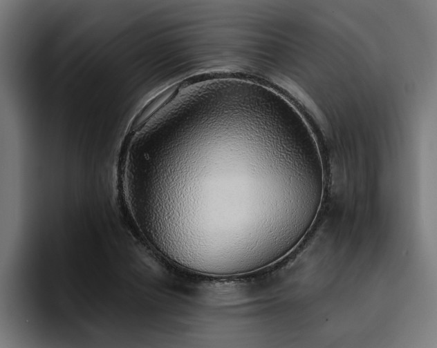 X0000094460834200711081323