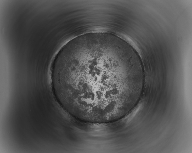X0000094460835200711081323