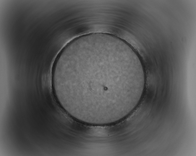X0000094460836200711081323