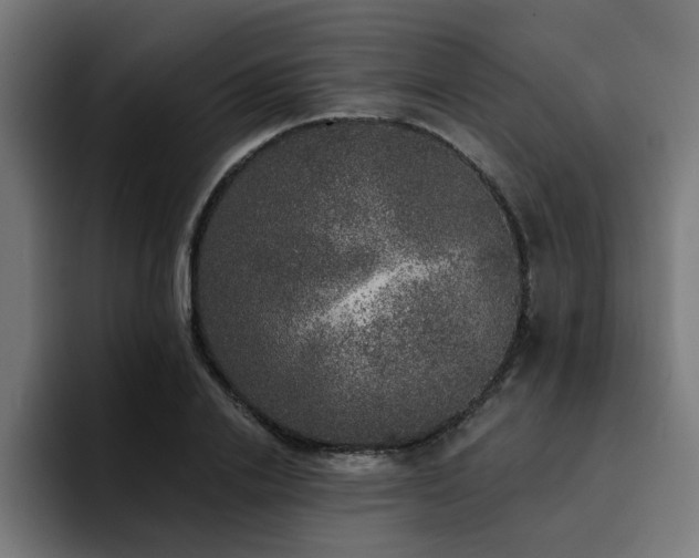 X0000094460838200711081323