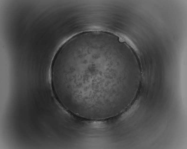 X0000094460839200711081324