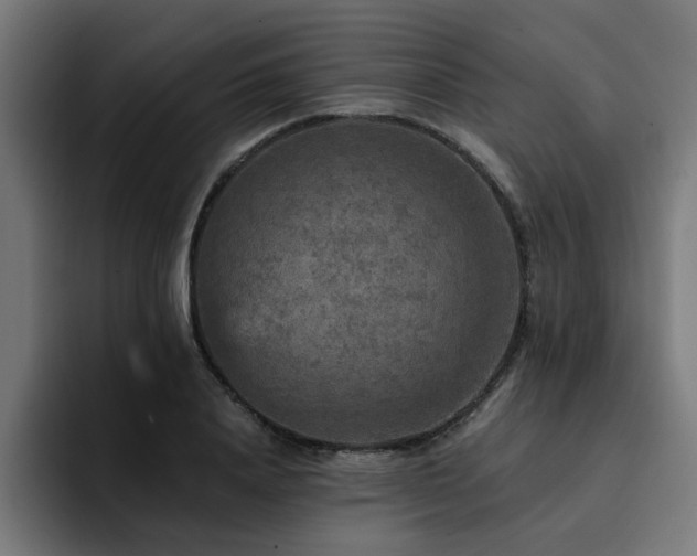 X0000094460840200711081324