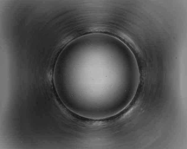 X0000094460841200711081324